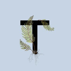 Твои  руки