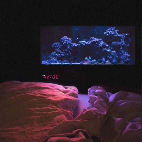 Midnight at the fish tank [bump]