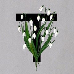 Первая песня