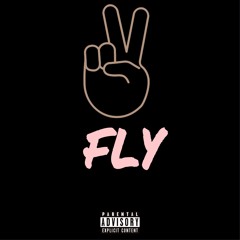 D.HOU$E - 2 Fly