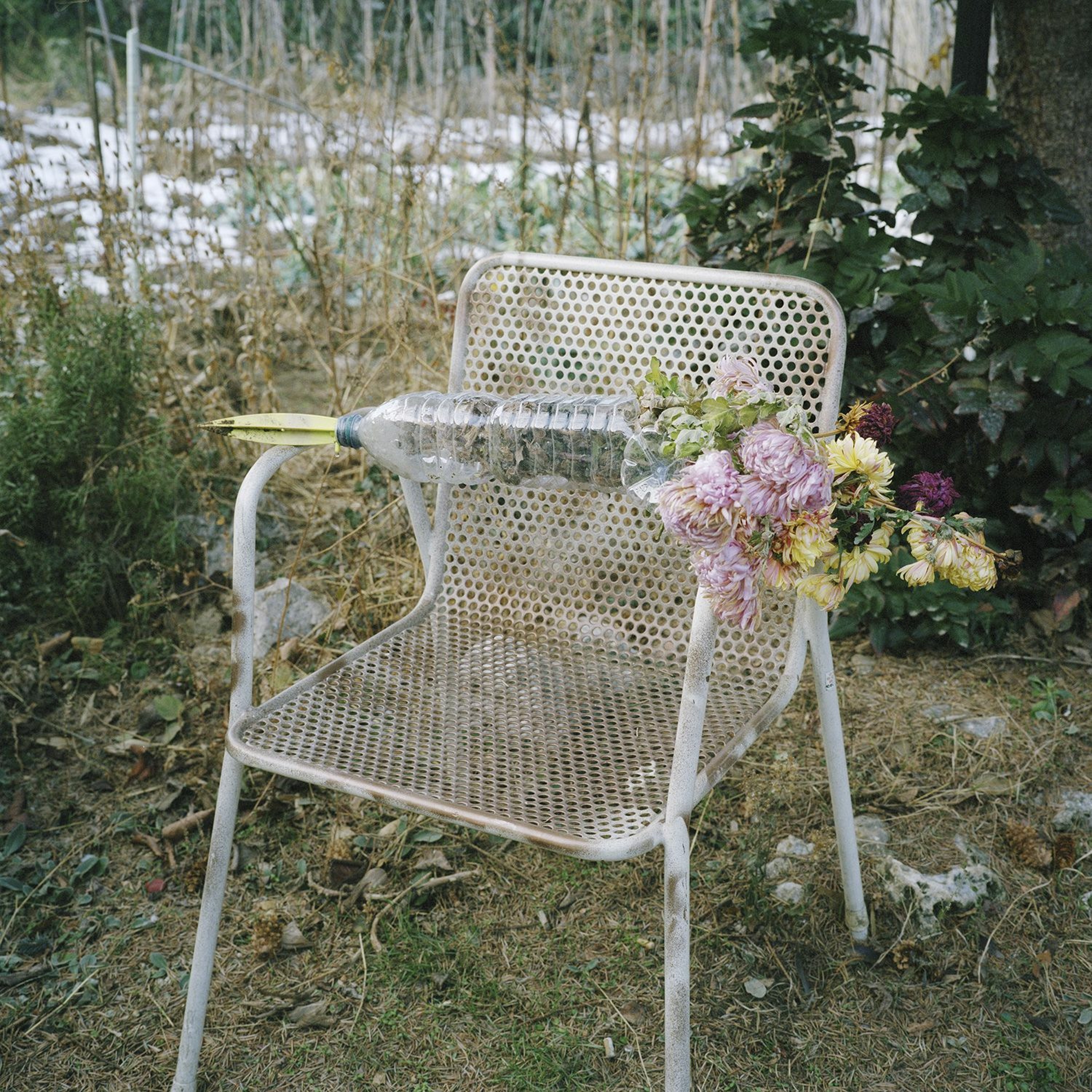 C41 Magazine