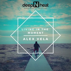 DNH041 | Alex Vela - Living In The Moment (Original Mix)