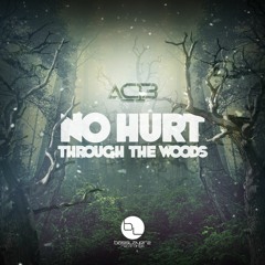 AC13 - THROUGH THE WOODS - BASSLAYERZ RECORDINGS (OUT NOW)