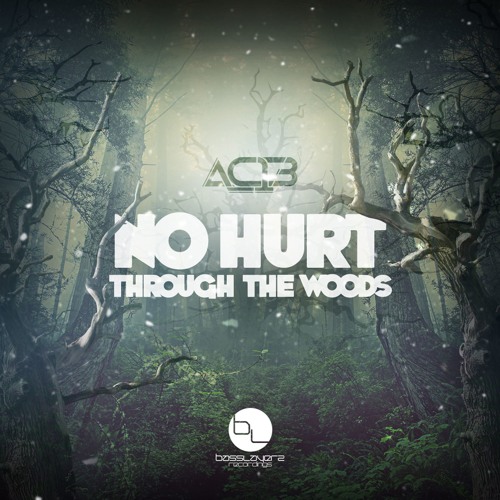 AC13 - THROUGH THE WOODS - BASSLAYERZ RECORDINGS (OUT NOW)