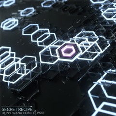 Secret Recipe - Don't Wanna Come Down
