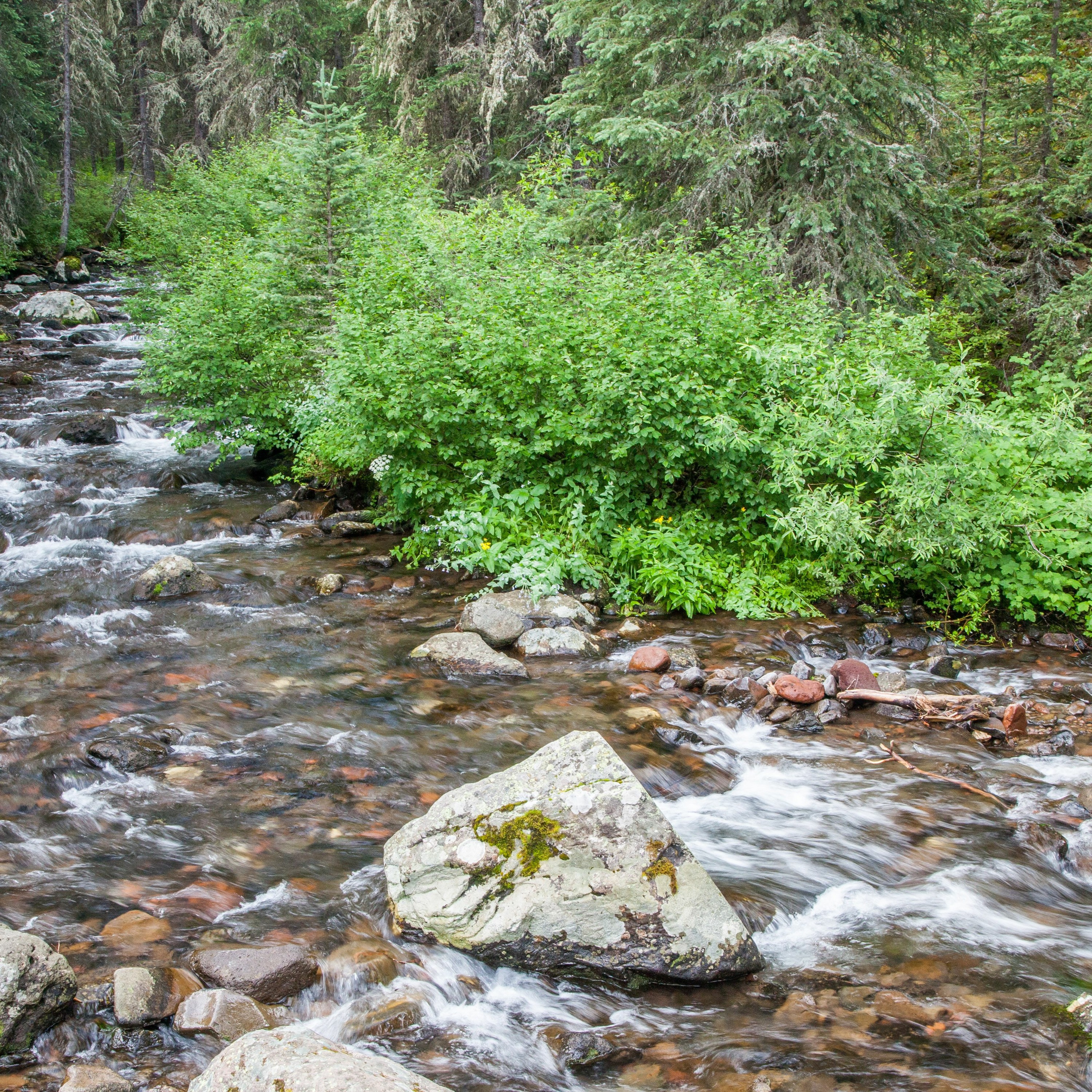 Nevada Creek episode artwork