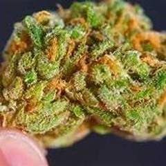 SNOOP DOG X2 PLUS WHIZ KALIFA SONG