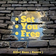 Elliot Bass, Twogueder - Set You Free ( Remix )