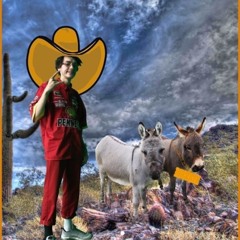 Buckeye Road (OLD TOWN ROAD REMIX) - (BeatCreep)