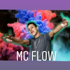 Mc Flow É a Tropa Hit Verão 2010 2020