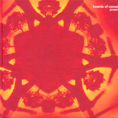 Boards of Canada - I Saw Drones