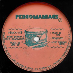 Andre Salmon, M.F.S. Observatory - Music Is Life (Original Mix)