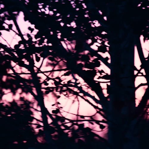 what once was
