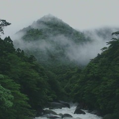 jrd. - Lilac