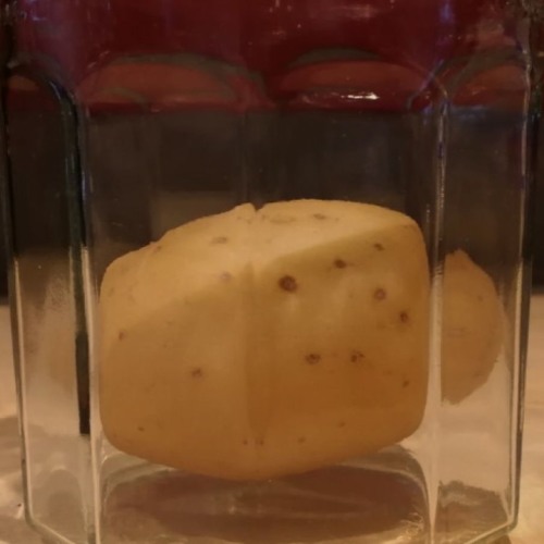 Lonely Little Potato