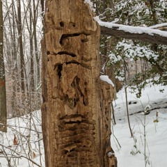 Wait... Holup (sketch1k).WAV