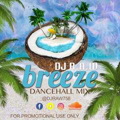 DJ RAW BREEZE 2019 DANCEHALL MIX