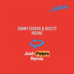 Sonny Fodera & Biscits - Insane (Josh Peters Remix)