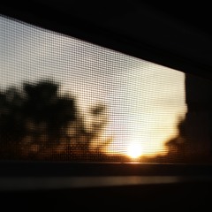 august 19