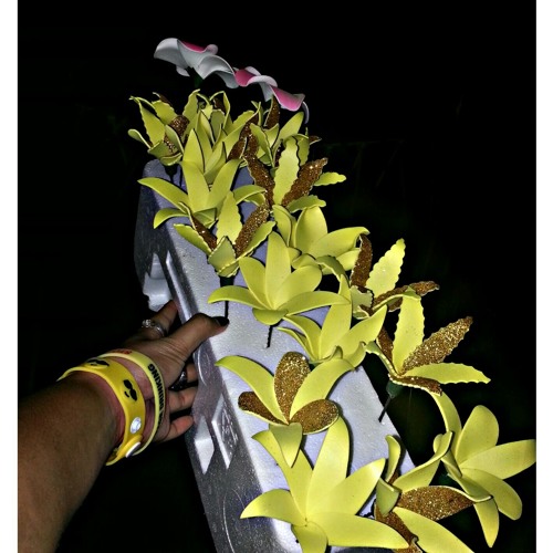 BryanAgrippaCover(E lelehr)