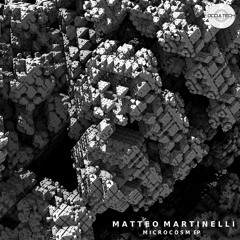Matteo Martinelli - Microcosm XIII