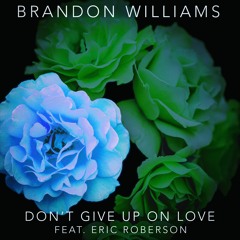 Dont Give Up On Love (feat. Eric Roberson)