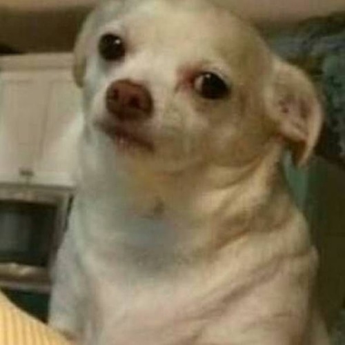 Stream YT A Sweeper Keeper Listen to meme playlist online for free