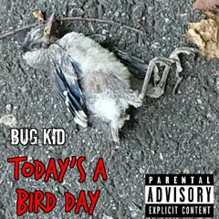 Today's a bird day