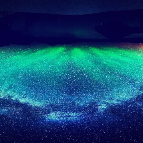 UPSIDE_DOWN(DEMO)