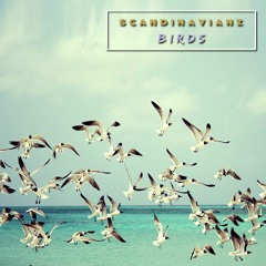 Scandinavianz -  Birds (Free download) Listen on Spotify !!  ❤ ♫ 🎶