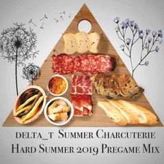 delta_t - Summer Charcuterie (Hard Summer 2019 Pregame Mix)