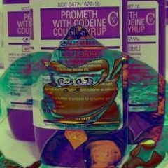 D O N K E Y   K Ä N G