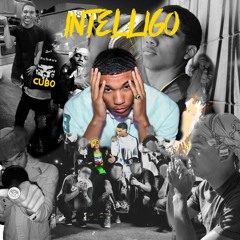 Cubo - Intelligo