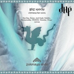 FULL PREMIERE : Bliz Nochi - Watching The Moon (VINZOO remix) [Zolotaya Orda]