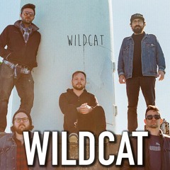 144 - Wildcat [Indie Rock]