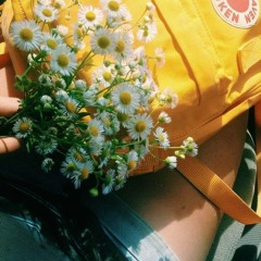 her summer - vũ // cover