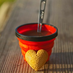 Zeni N - Someone Like Her (4U Remix)