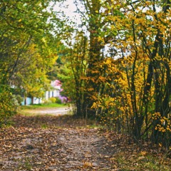 Zeni N - SweetDeep 004 Track 08