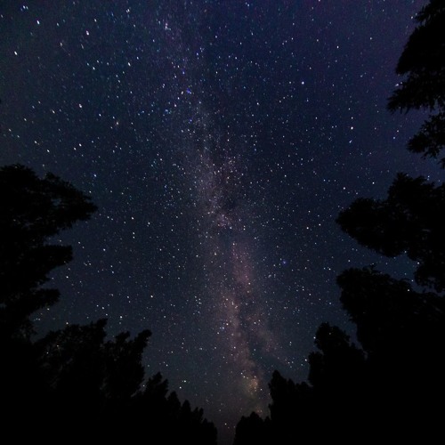 Cant - Sleep - Jose - Leyva - Khai - Dreams