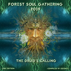 VA - Forest Soul Gathering 2019 - Compiled by ozonee