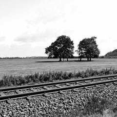 Bummelzug:Acht - Coming Home