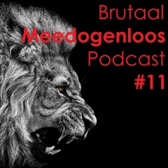 Hoe Kutjes Najagen Tot Een Leeg Bestaan Leidt (Brutaal Meedogenloos Podcast #11)