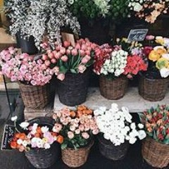 معنى الحياة !