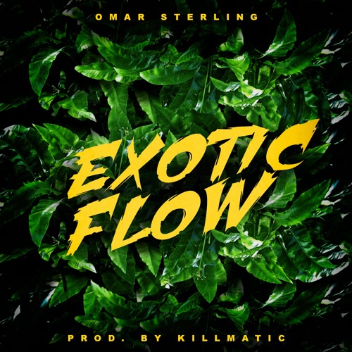 Exotic Flow (Prod. By Killmatic)