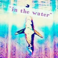 "In The Water"