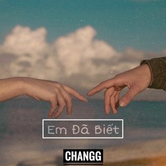 Em Đã Biết (Cover)
