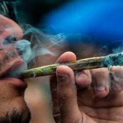 MC PQD - HOJE ACORDEI MUITO BOLADO