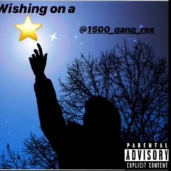 Wishing on a star