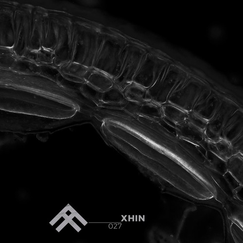 Form and Function Podcast 027 - Xhin