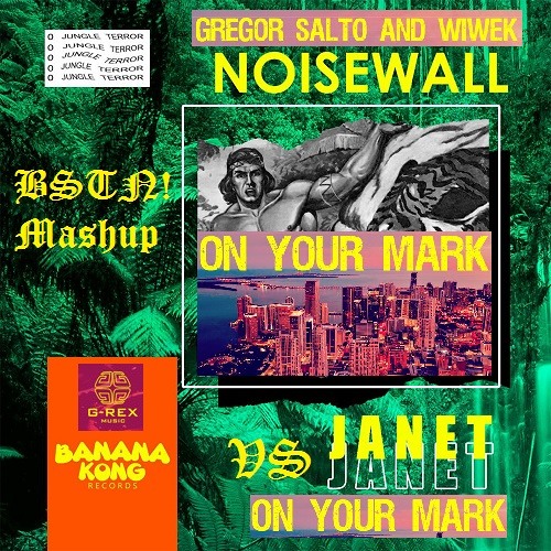 Gregor Salto VS Noisewall - On Your Janet (BSTN! Mashup)